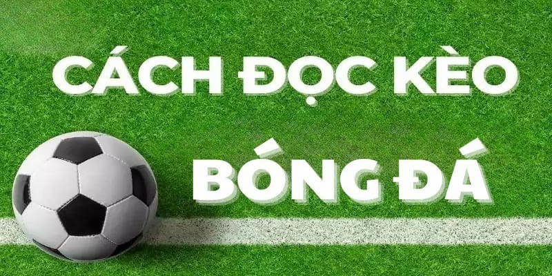 đọc kèo bóng đá