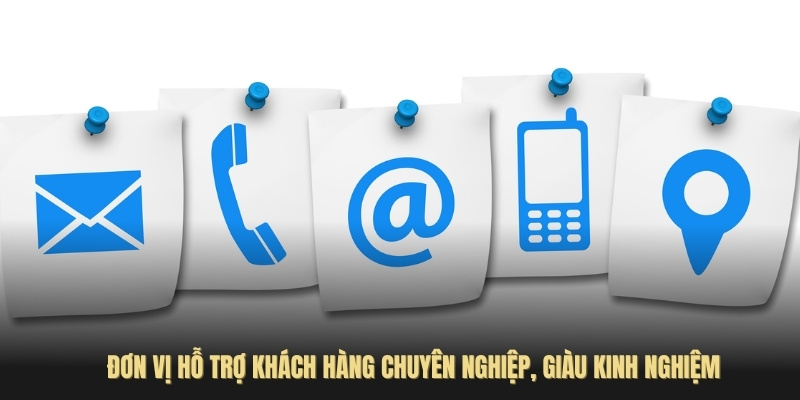 Đơn vị hỗ trợ khách hàng chuyên nghiệp, giàu kinh nghiệm