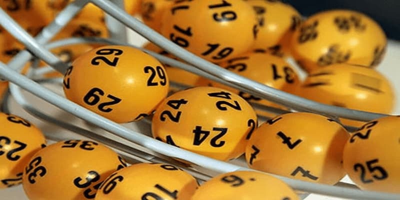 Kết quả cập nhật nhanh