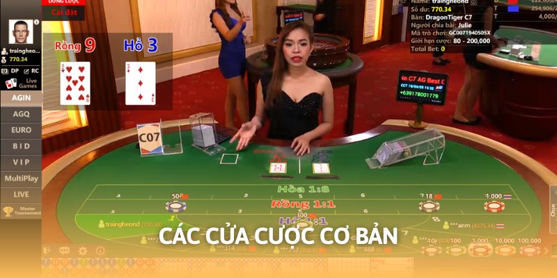 Cửa chơi cơ bản cần biết trong rồng hổ